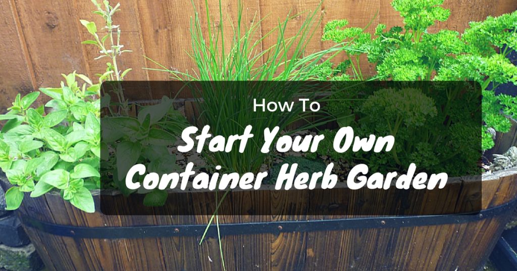How To Start Your Own Container Herb Garden - FarmFoodFamily.Com