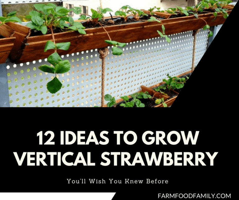 12 DIY Ways To Grow A Vertical Strawberry Garden
