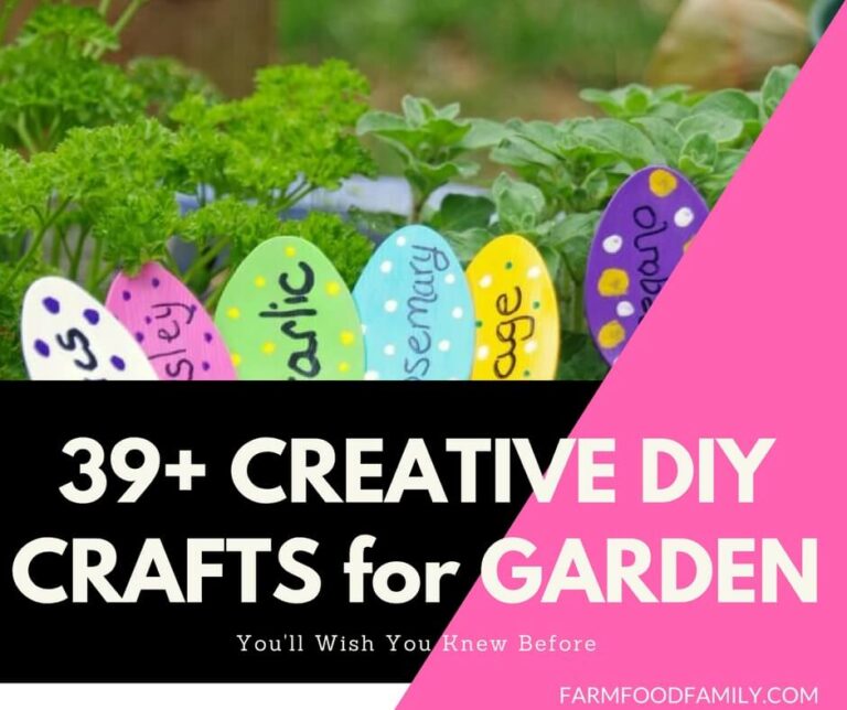 39+ Creative and Colorful DIY Crafts for Your Garden