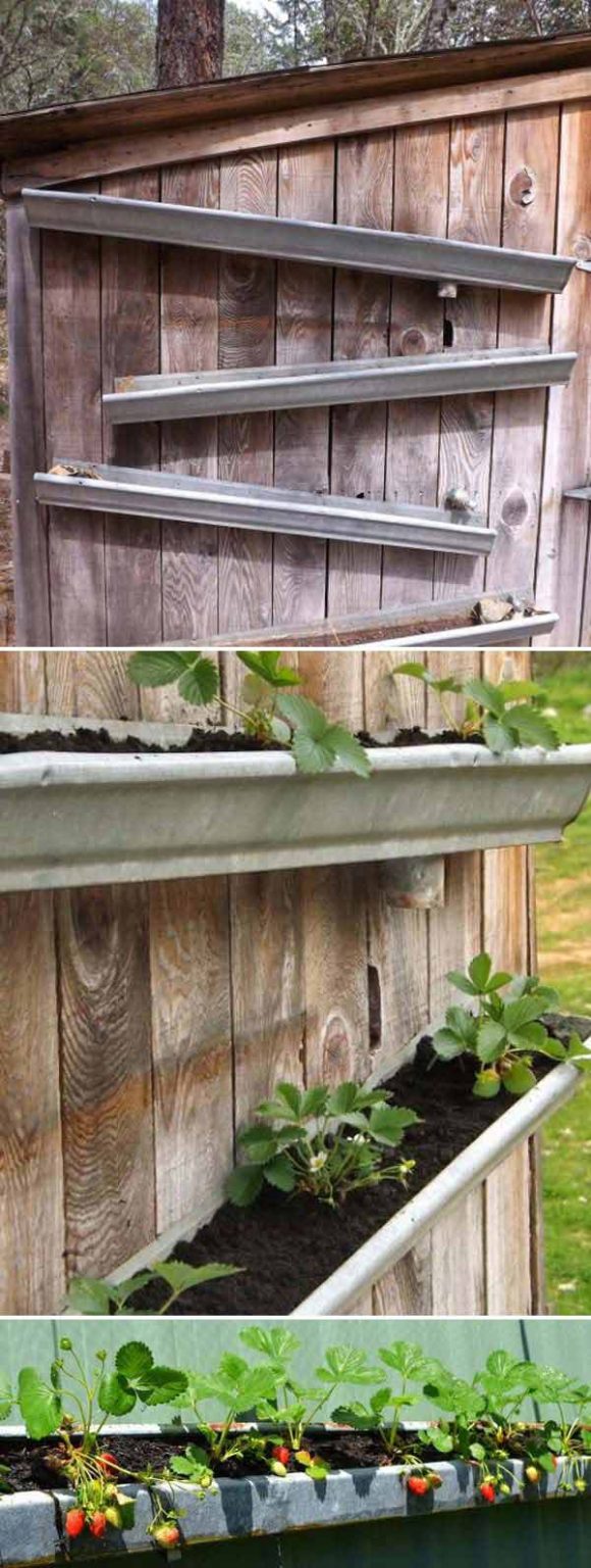 12 DIY Ways To Grow A Vertical Strawberry Garden - FarmFoodFamily