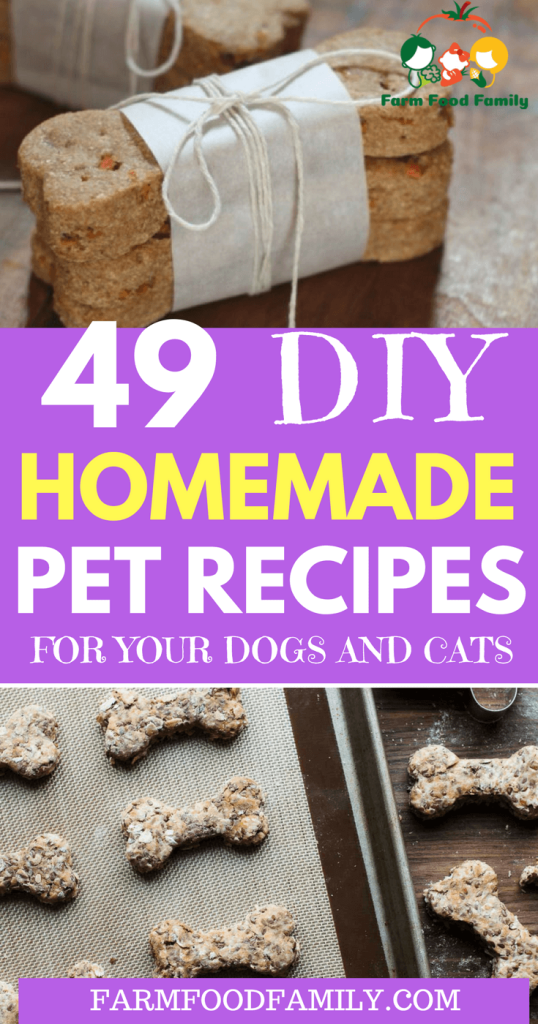49 DIY Homemade Pet Recipes For Your Dogs And Cats