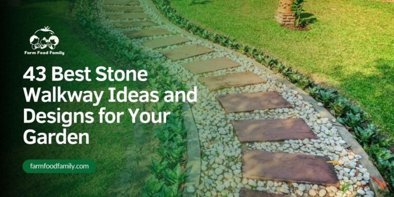43 Best Stone Walkway Ideas and Designs for Your Garden (2026)