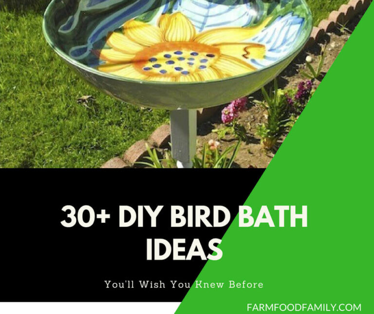 30+ Cute DIY Bird Bath Ideas That Will Enhance Your Yard
