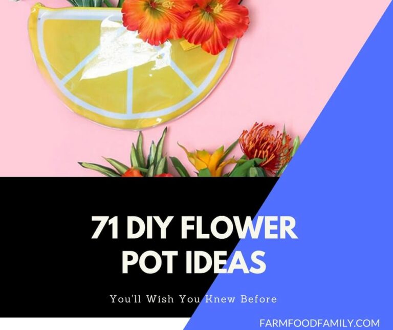 71 DIY Flower Pot Ideas
