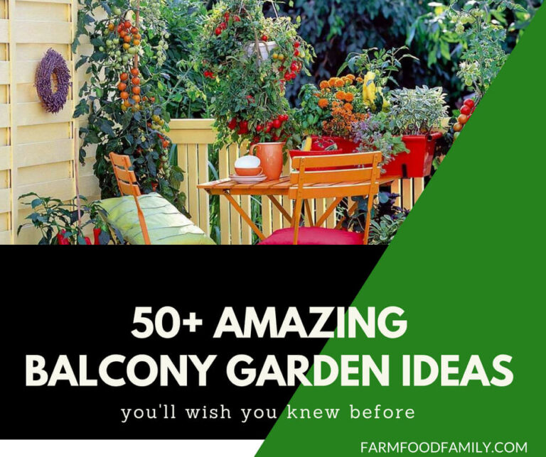 50+ Best balcony Garden Designs and Ideas