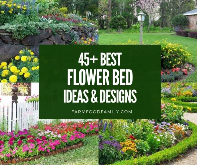 45+ Gorgeous Flower Bed Ideas and Designs (With Pictures)