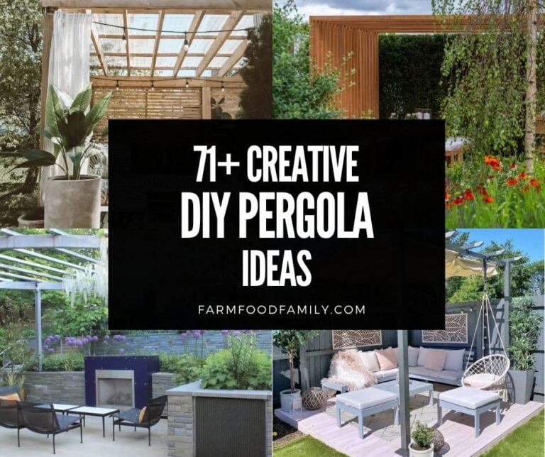 36+ DIY Pergola Ideas and Plans (Plus the Structural Rules)