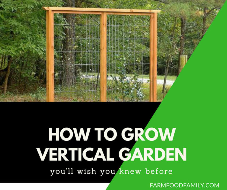 How to build your own vertical garden