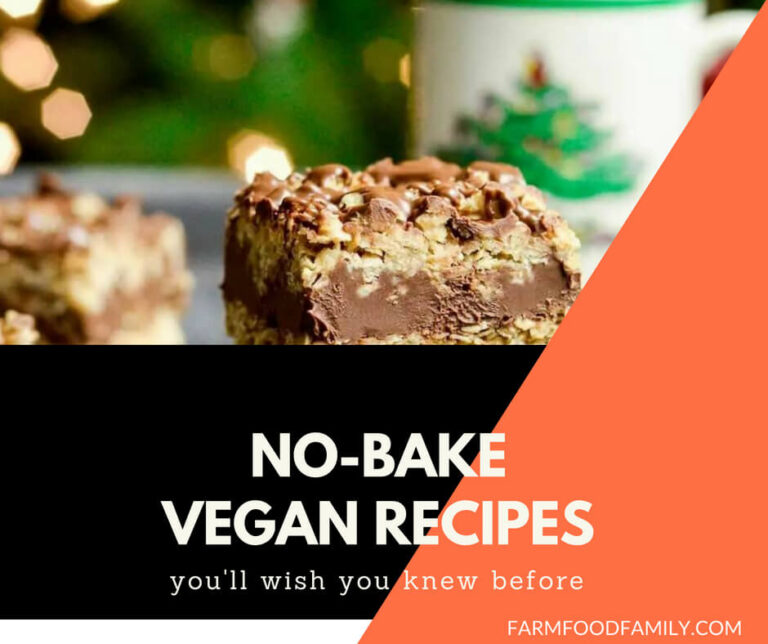 27+ Tasty No Bake Vegan Recipes For Your Family