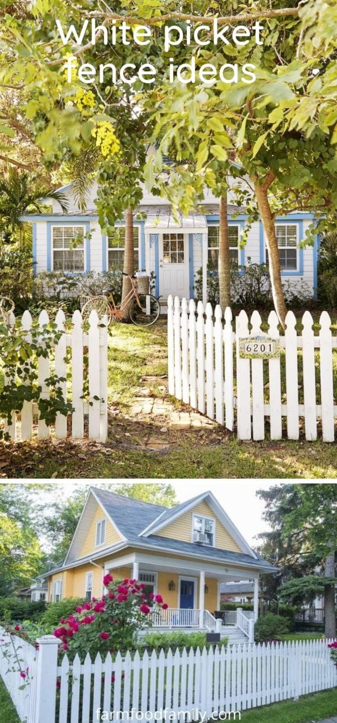 65+ Cheap and Easy DIY Fence Ideas For Your Backyard, or Privacy