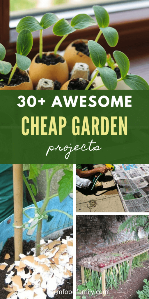30+ Genius Cheap Gardening Ideas for 2024 FarmFoodFamily
