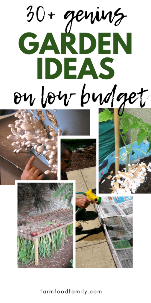 30+ Genius Cheap Gardening Ideas for 2024 FarmFoodFamily