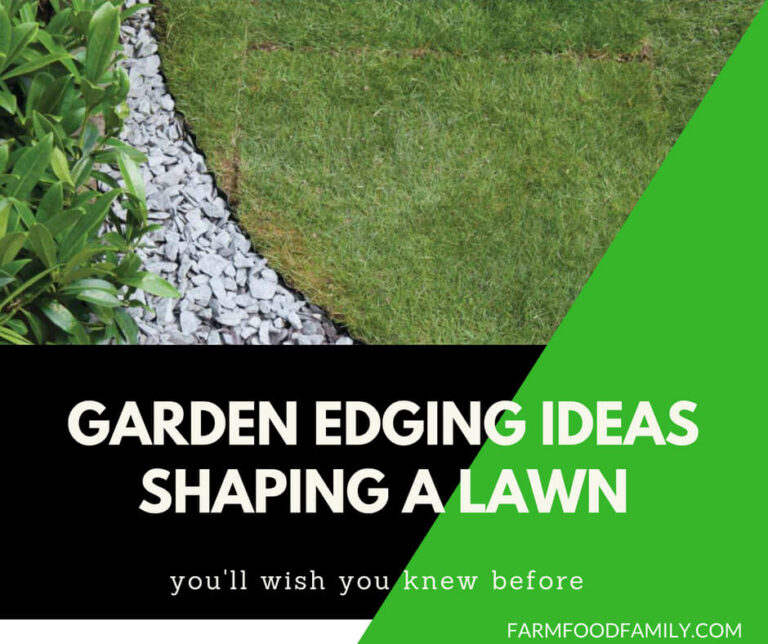 Garden Edging Ideas: Shaping a lawn