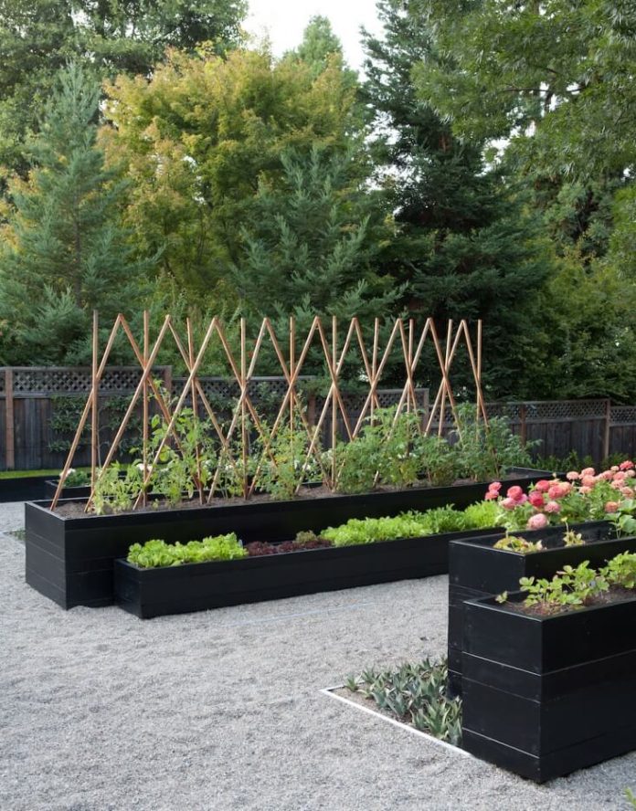 29+ Edging Plants For Kitchen Gardens Can Inspired Gardeners