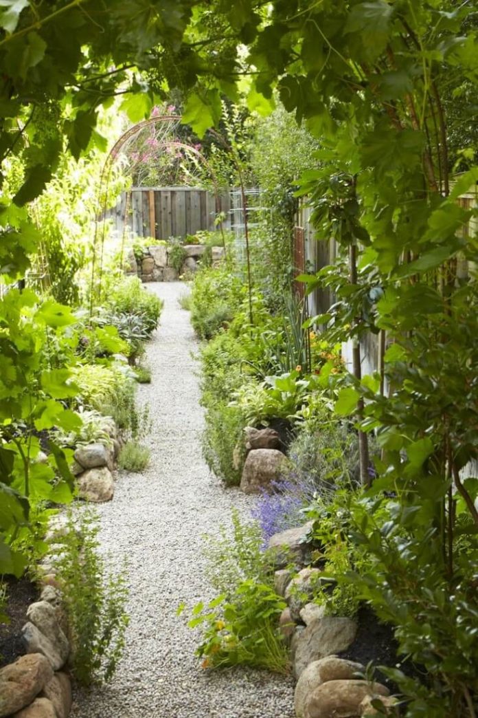 29+ Edging Plants For Kitchen Gardens Can Inspired Gardeners