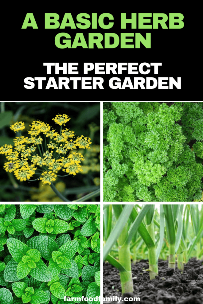 basic herb garden