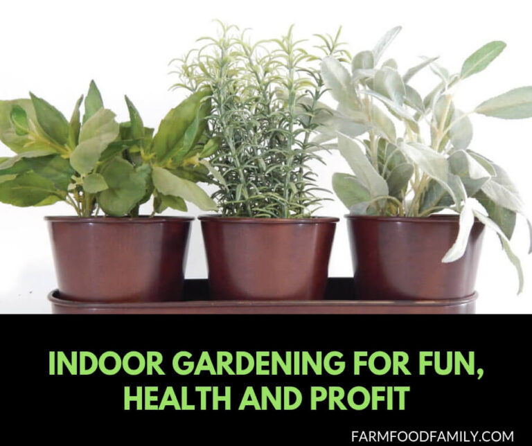 Indoor gardening for fun, health, and profit