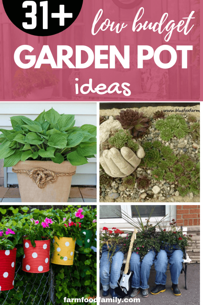 31 Stunning Low Budget Garden Pot and Container Ideas (FREE)