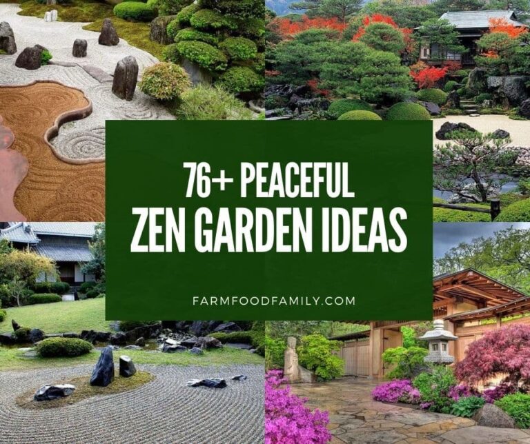 76+ Magical & Peaceful Zen Garden Ideas