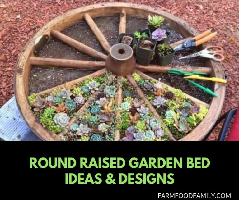 18 Beautiful Round Raised Garden Bed Ideas & Designs For 2024