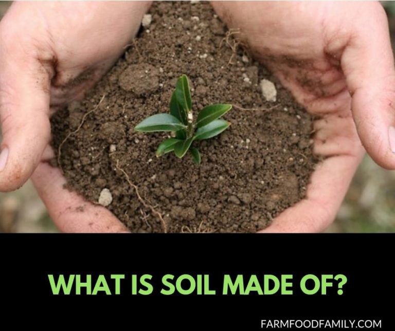 What is Soil Made of? FarmFoodFamily