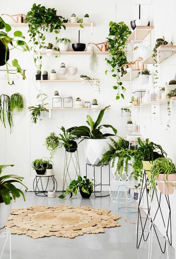 How To Decorate With Houseplants (67 Houseplant Decorating Ideas)