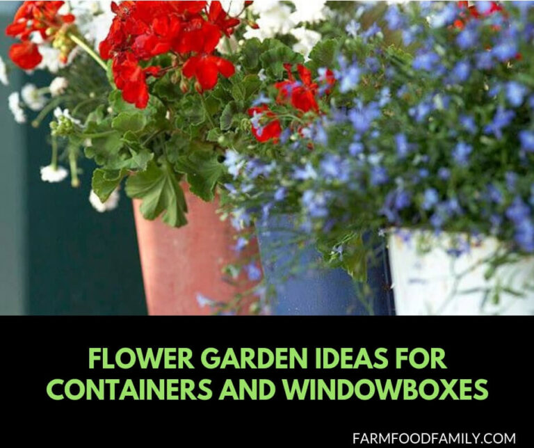 Flower garden ideas for containers and windowboxes