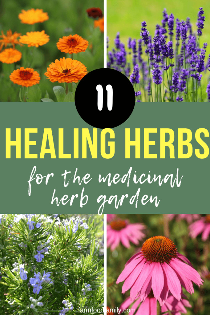 Healing Herbs Designing and Planting a Medicinal Herb Garden