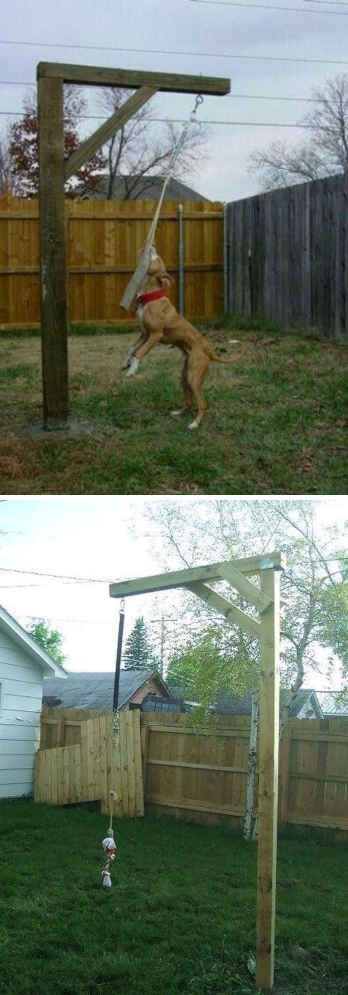 24+ Great DogFriendly Backyard Landscaping Ideas & Designs For 2024