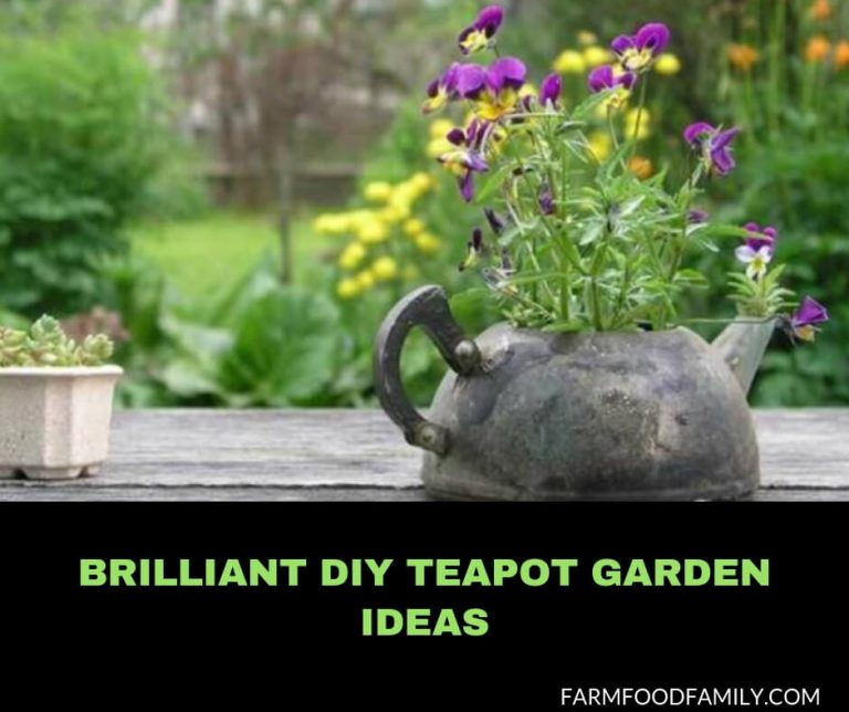 24+ Best DIY Teapot Garden Art & Decor Ideas (2024) FarmFoodFamily