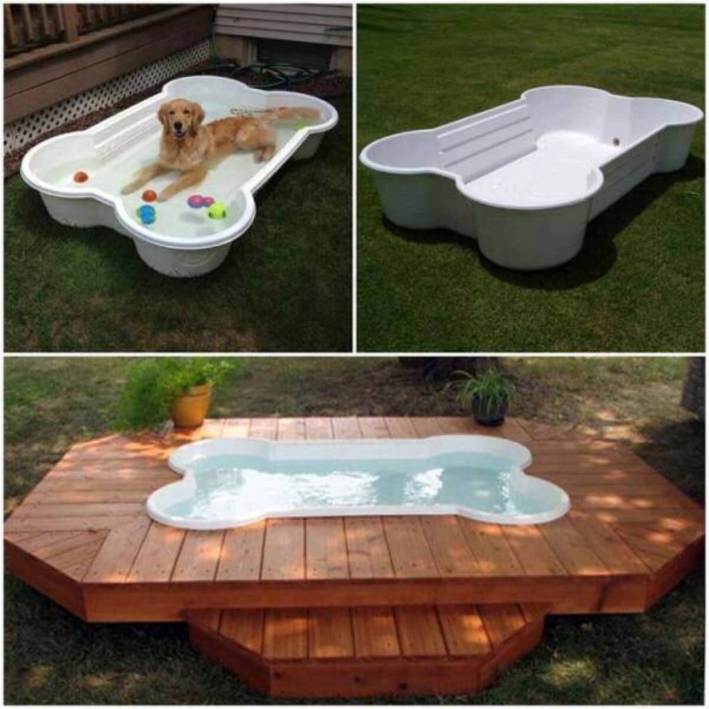 24+ Great Dog-Friendly Backyard Landscaping Ideas & Designs For 2024