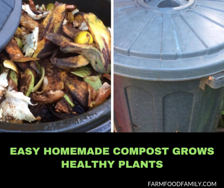 Easy Homemade Compost Grows Healthy Plants