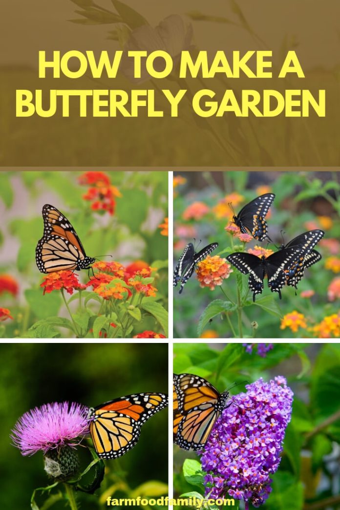 How to Make a Butterfly Garden FarmFoodFamily