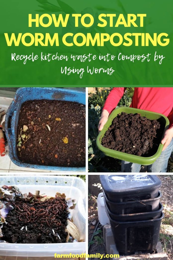 How to Start Worm Composting Recycle Kitchen Waste into Compost