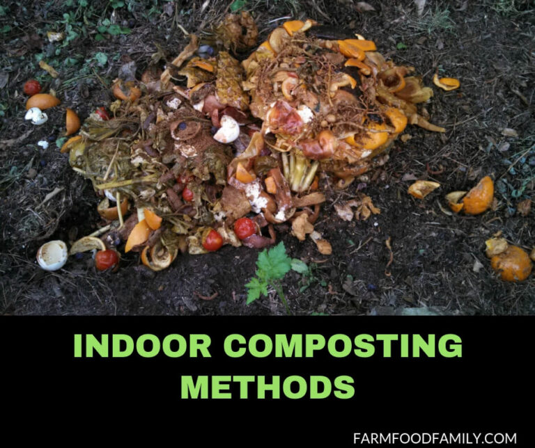 Indoor Composting Methods: Create Organic Humus for the Home Garden in a Small Space