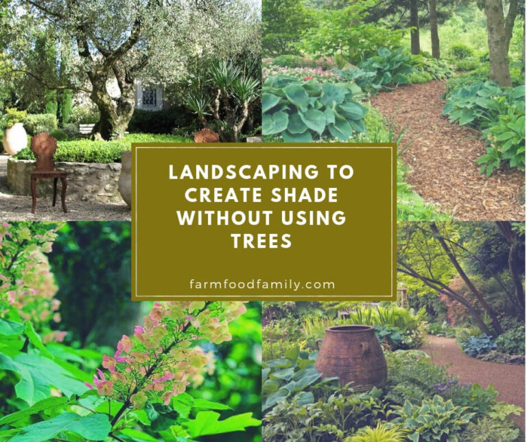 Landscaping to create shade without using trees
