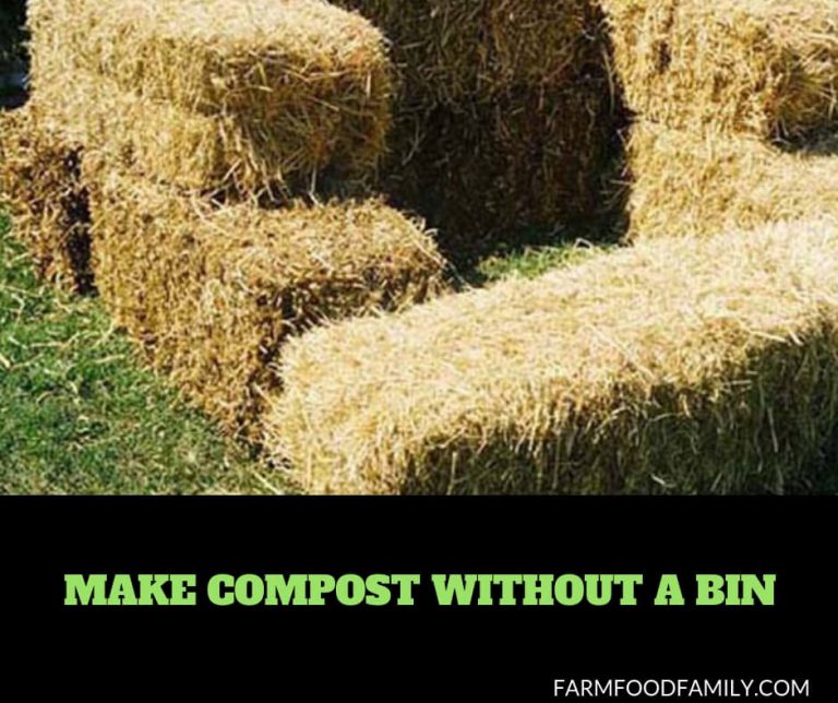 How To Make Compost Without a Bin FarmFoodFamily