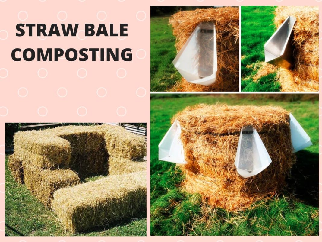 How To Make Compost Without a Bin FarmFoodFamily