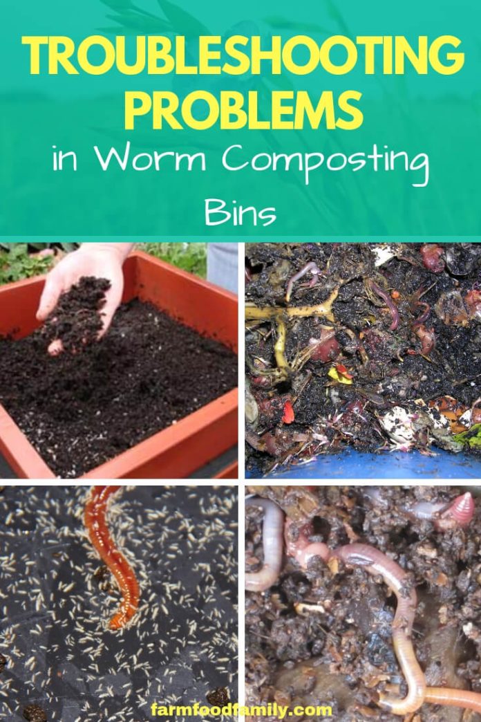 Worm Composting Troubleshooting Problems in Worm Composting Bins