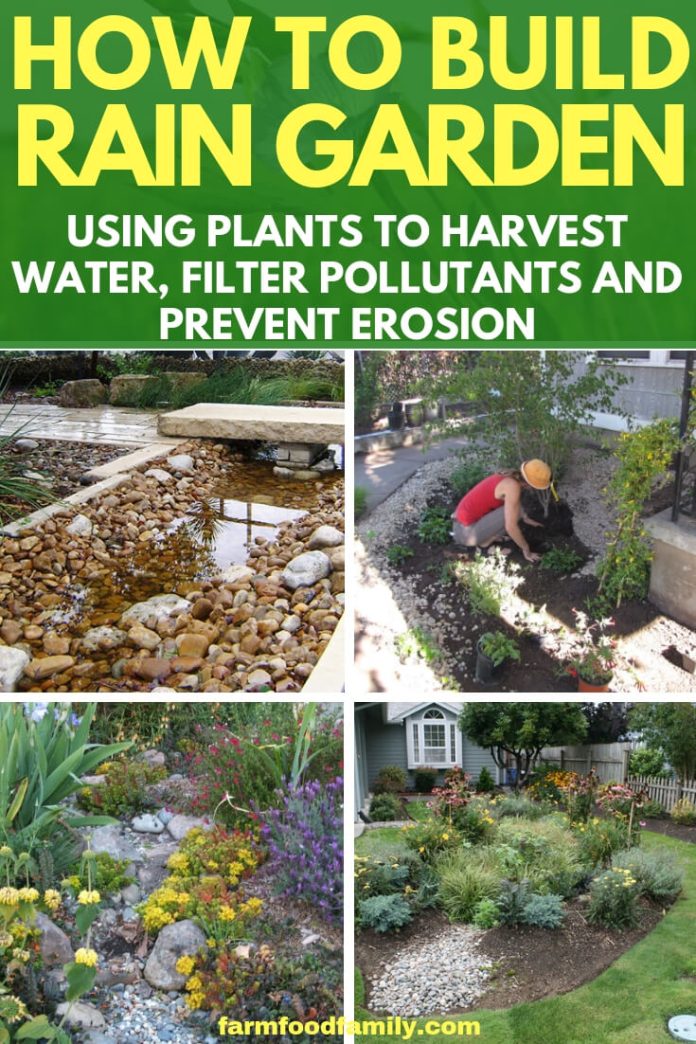 Build Your Own Rain Garden FarmFoodFamily