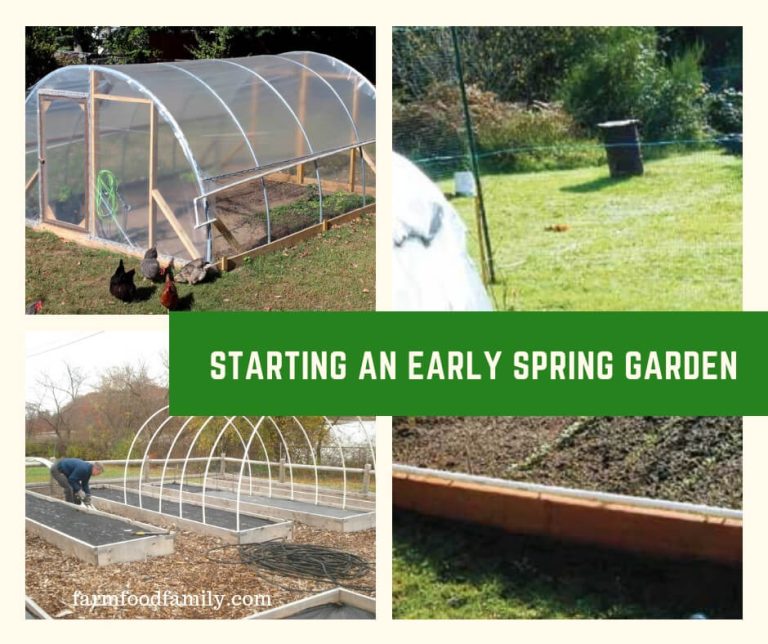 Build an Affordable Hoop House for a Quick Start