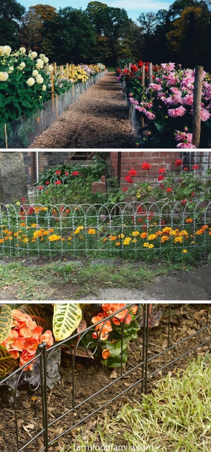 68+ Creative & Cheap Garden Edging Ideas That Will Transform Your Yard