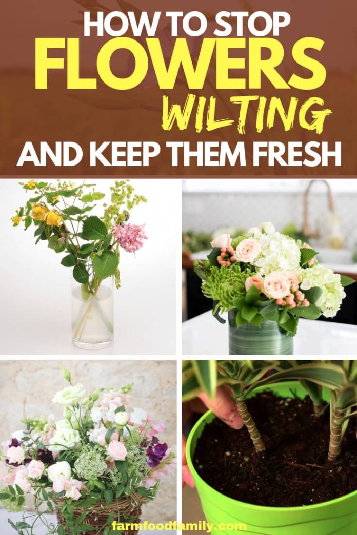How to Stop Flowers Wilting and Keep Them Fresh FarmFoodFamily