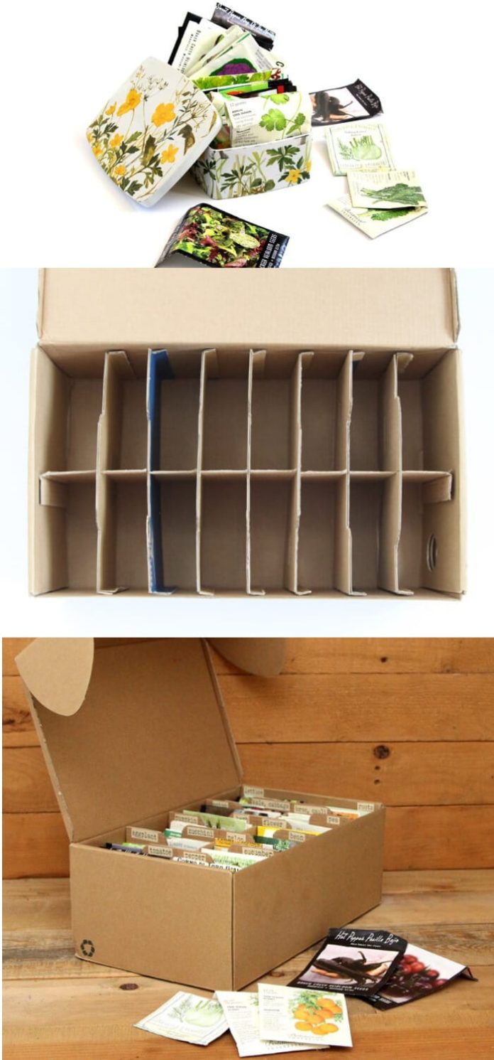 10+ Best Repurposed Garden Ideas Using Shoe Box