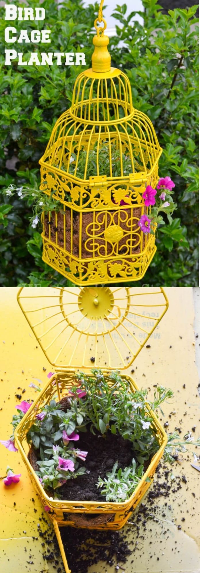 15+ Best Repurposed Bird Cage Planter Ideas for 2024