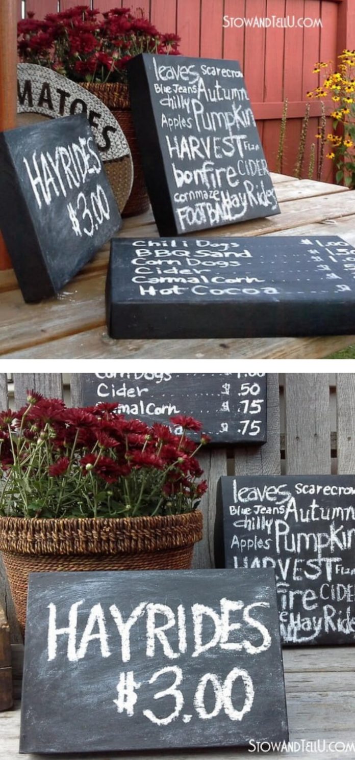 10+ Best Repurposed Garden Ideas Using Shoe Box