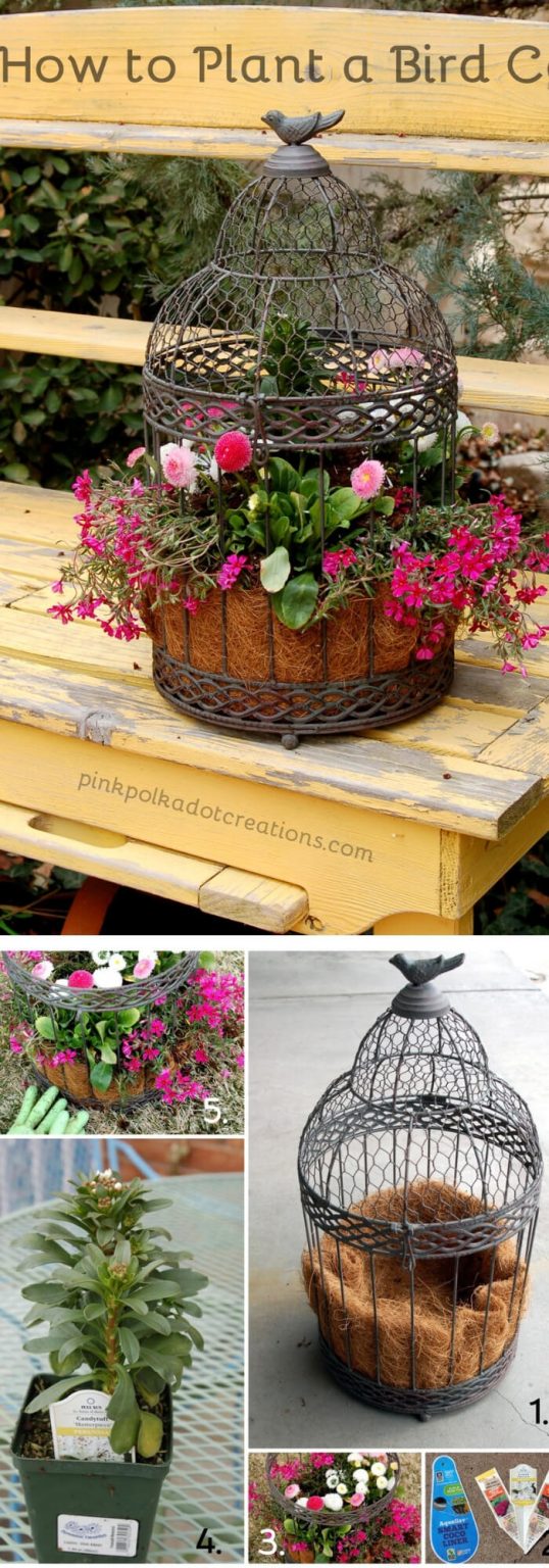 15+ Best Repurposed Bird Cage Planter Ideas for 2024