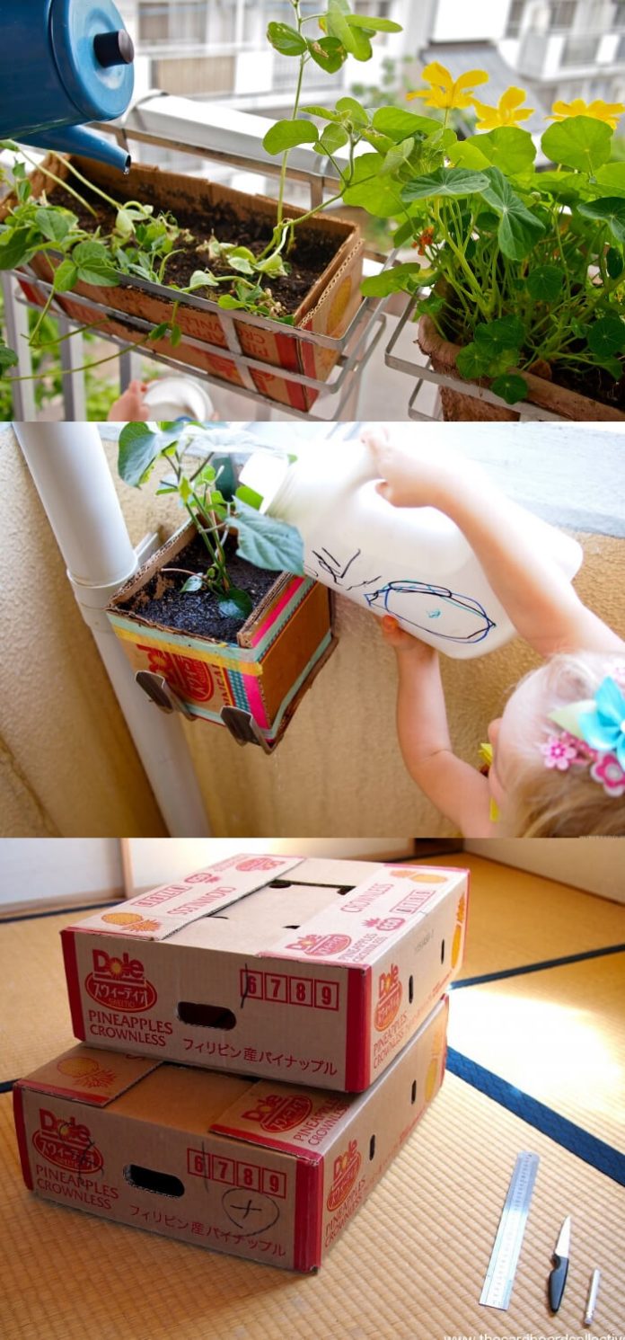 10+ Best Repurposed Garden Ideas Using Shoe Box
