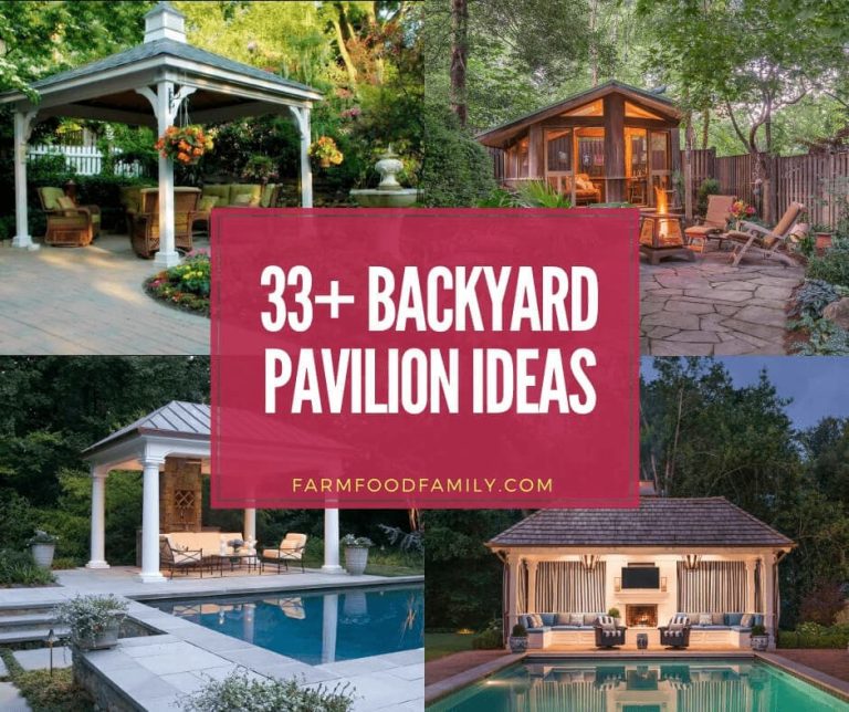 43+ Beautiful Backyard Pavilion Ideas (With Pictures) for 2024