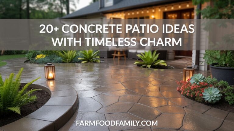 28+ Genius Concrete Patio Ideas That Totally Transform Your Backyard